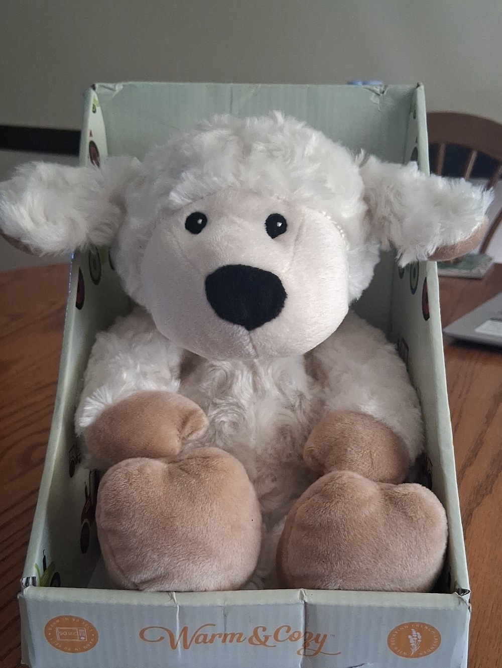 Warm and Cozy Heatable Stuffed Lamb